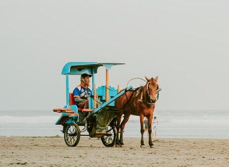 man riding carriage on beach