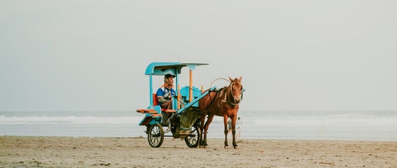 man riding carriage on beach